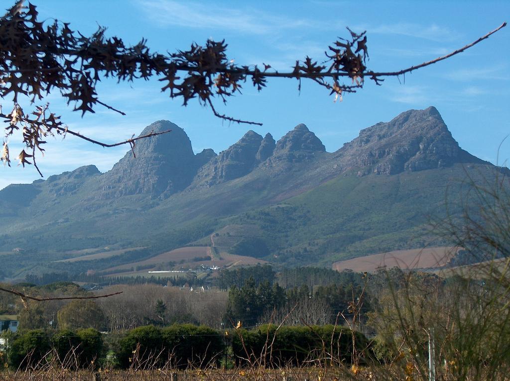 Somerset Villa Guesthouse Somerset West Εξωτερικό φωτογραφία