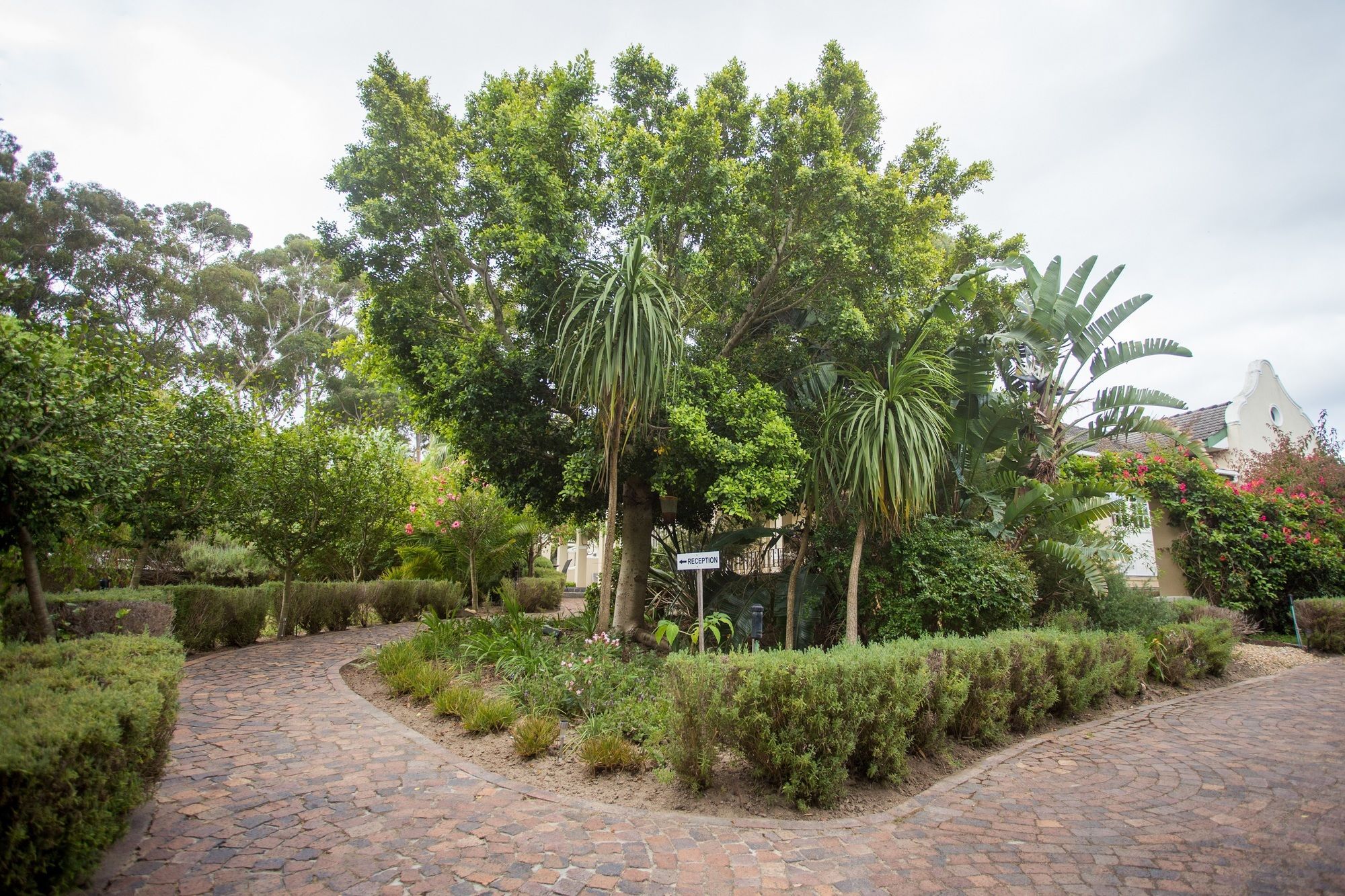 Somerset Villa Guesthouse Somerset West Εξωτερικό φωτογραφία